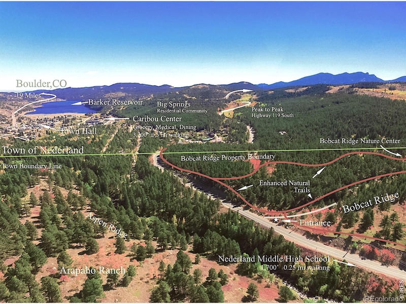 250 Eldora Rd, Nederland, CO 80466