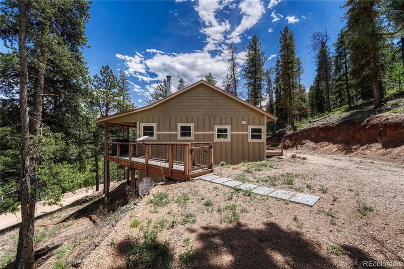 133 Brown St, Bailey, CO 80421