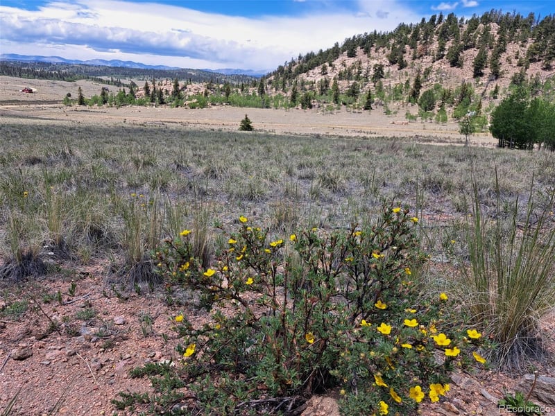 109 Chippewa Rd, Como, CO 80432