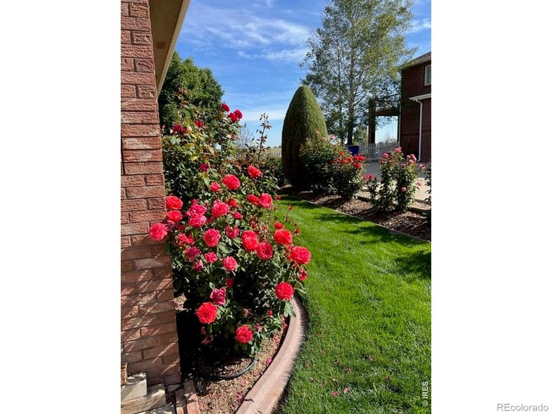 2238 Breckenridge Dr, Berthoud, CO 80513