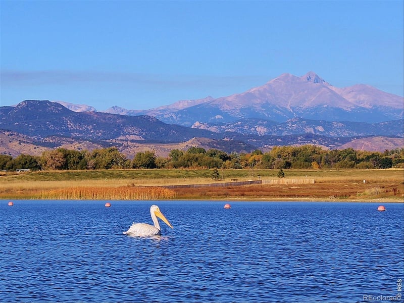 1703 Drake St, Longmont, CO 80503