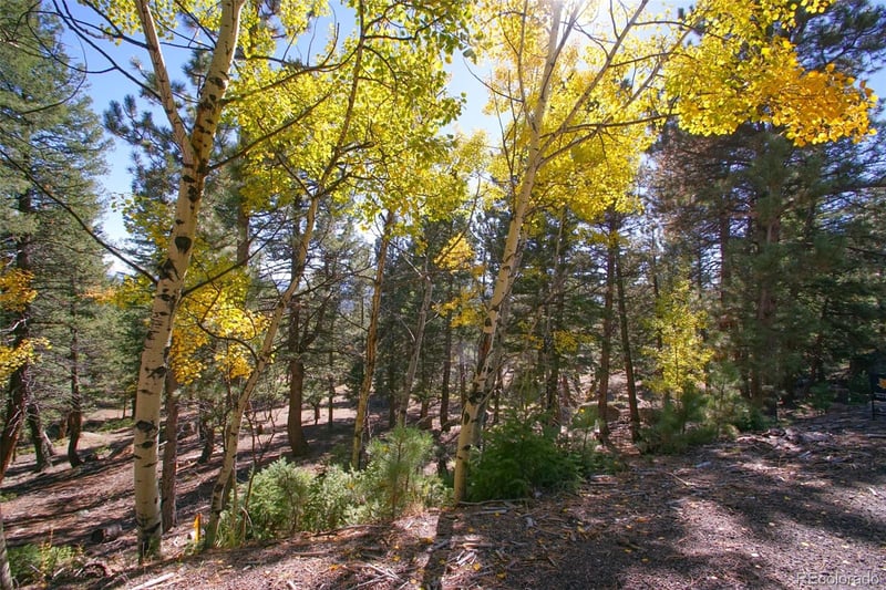 30402 Kings Valley, Conifer, CO 80433