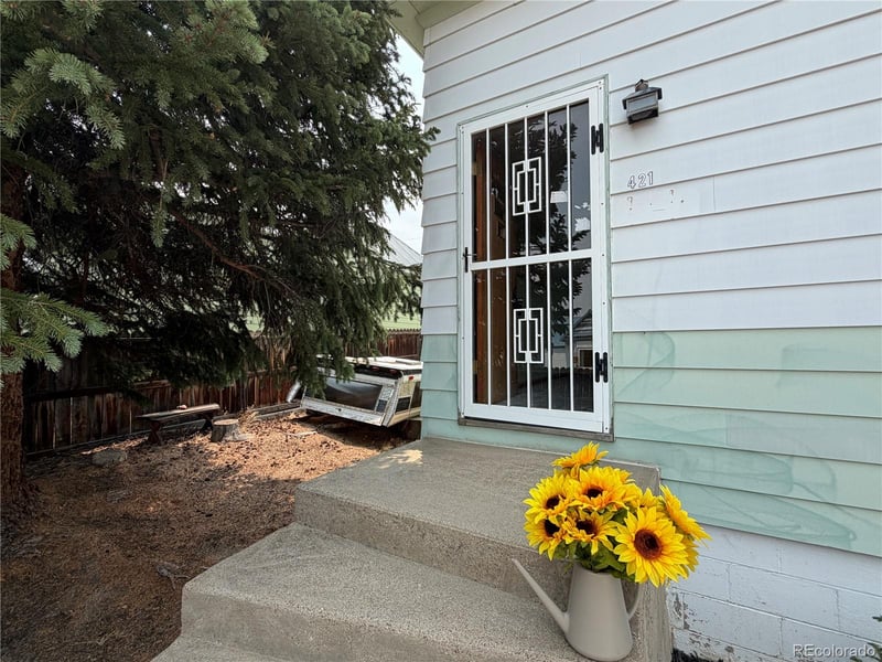 421 8th St, Leadville, CO 80461