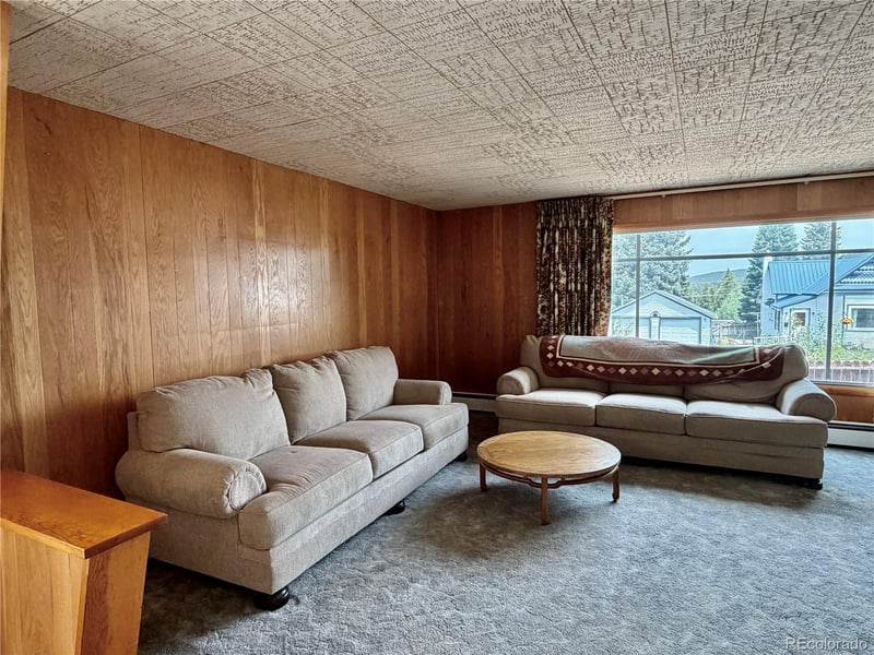 421 8th St, Leadville, CO 80461