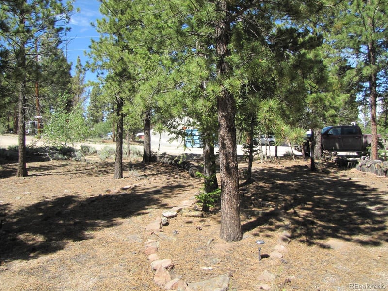 19 Lantern Loop, Hartsel, CO 80449
