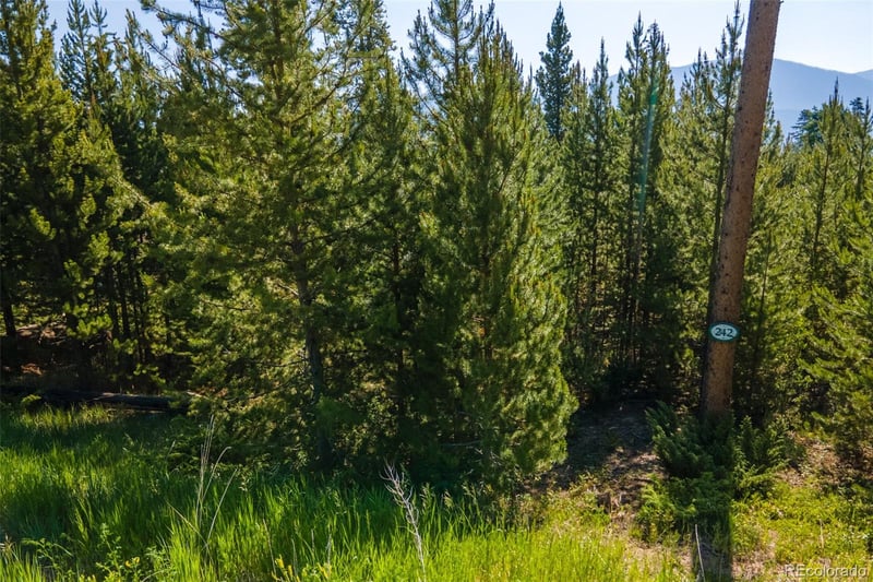 242 Gcr 4571 Lot 56, Grand Lake, CO 80447