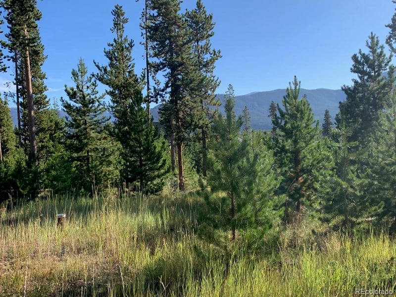 242 Gcr 4571 Lot 56, Grand Lake, CO 80447