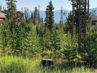 242 Gcr 4571 Lot 56, Grand Lake, CO 80447