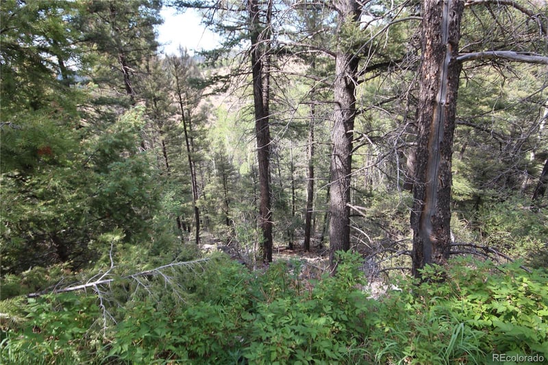 LOT 6401 Ryland Rd, San Luis, CO 81152