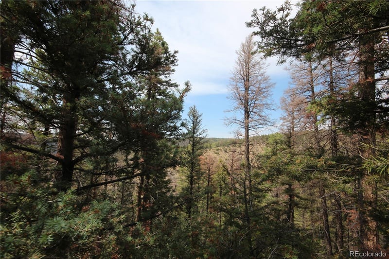 LOT 6401 Ryland Rd, San Luis, CO 81152