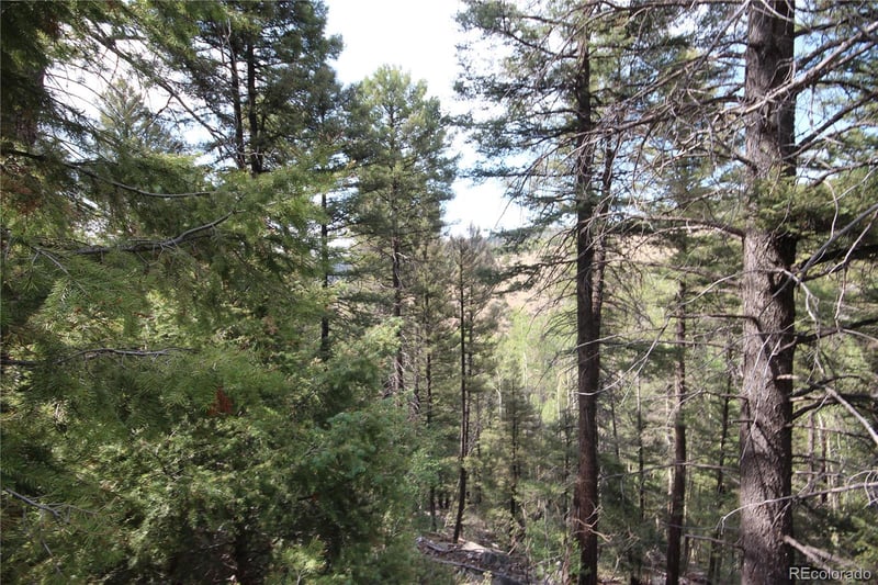 LOT 6401 Ryland Rd, San Luis, CO 81152