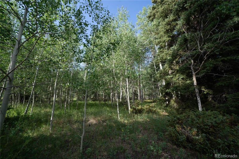 42 Peregrine , Antonito, CO 81120