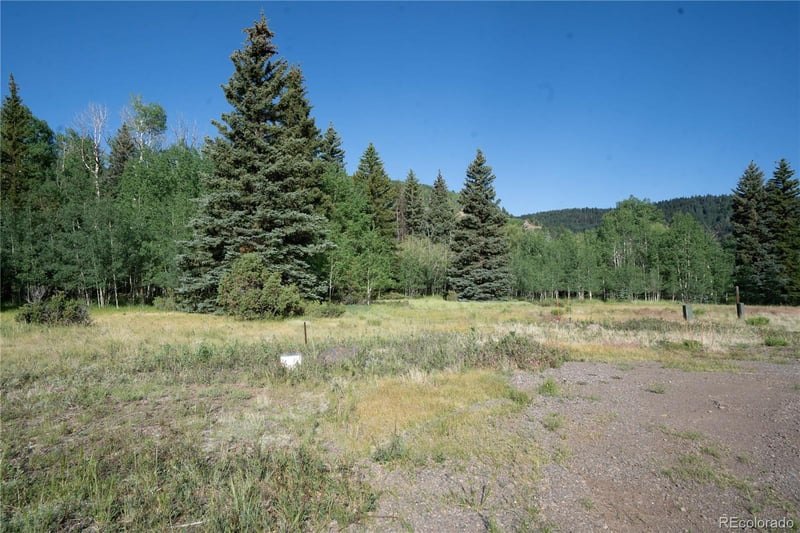 42 Peregrine , Antonito, CO 81120