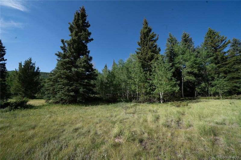 42 Peregrine , Antonito, CO 81120