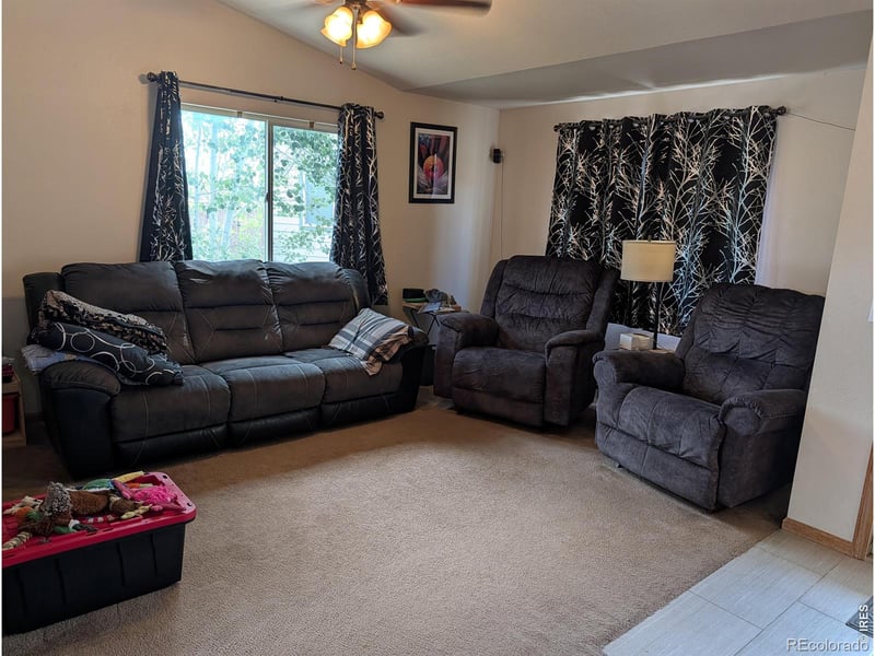 1171 Norma Ct, Milliken, CO 80543