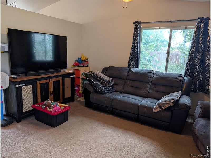 1171 Norma Ct, Milliken, CO 80543