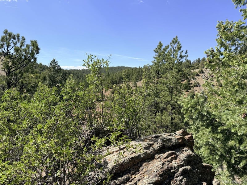 000 Schulze Ranch Rd, Westcliffe, CO 81252