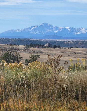 7928 Towhee Rd, Parker, CO 80134
