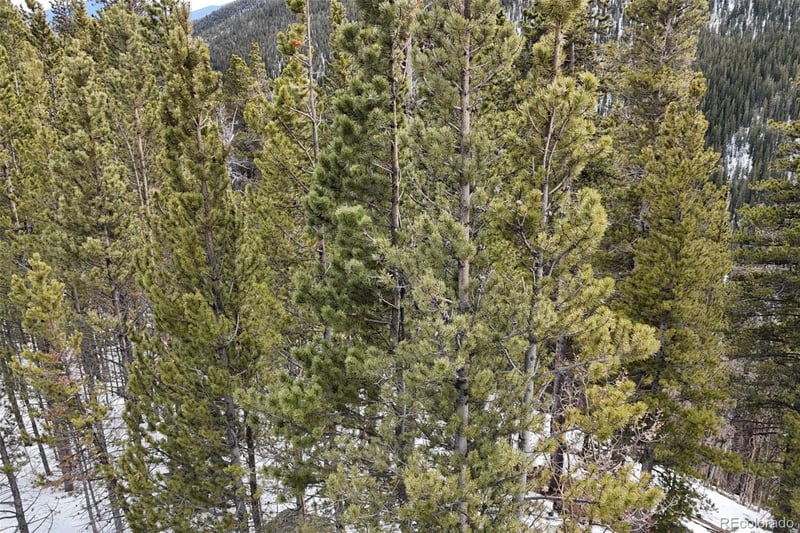 649 Vista Rd, Idaho Springs, CO 80452