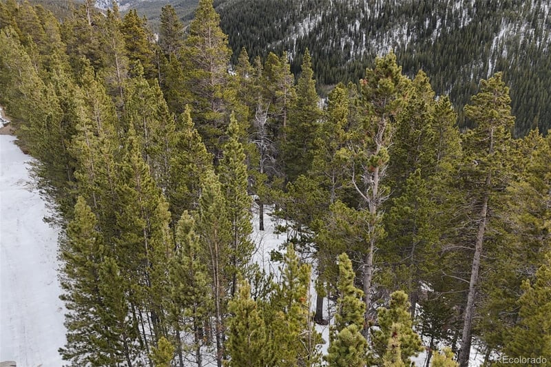 649 Vista Rd, Idaho Springs, CO 80452