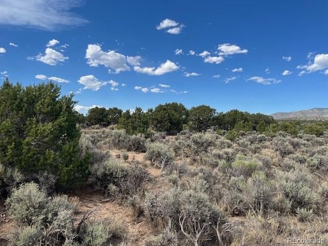 Lot 989 Bateman Rd, Fort Garland, CO 81133