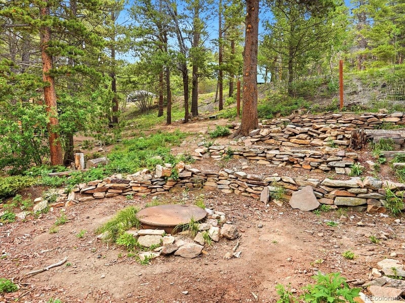 286 Texas Dr, Idaho Springs, CO 80452