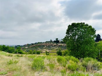 547 Crawford St, Golden, CO 80401
