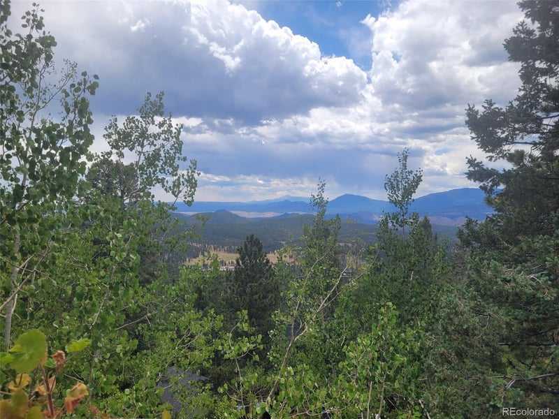 11743 Braun Way, Conifer, CO 80433