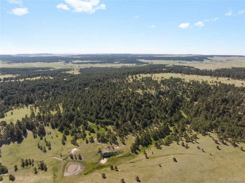 18673 Elbert Rd, Elbert, CO 80106