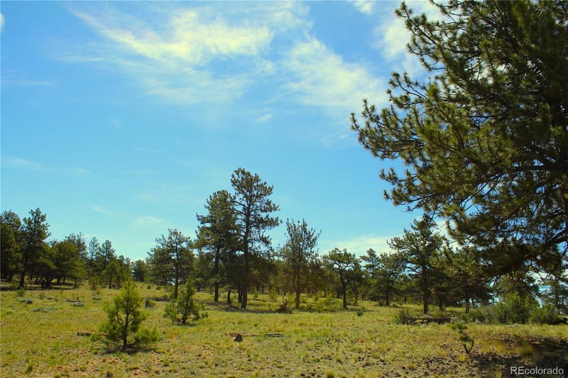 31572 Highway 9 , Fairplay, CO 80440