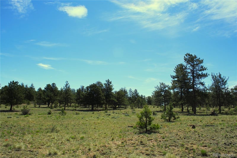31572 Highway 9 , Fairplay, CO 80440