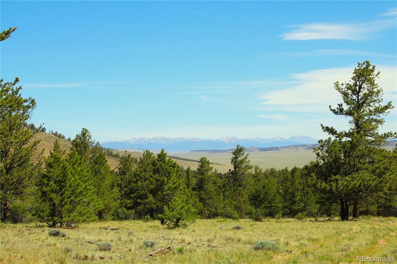 31572 Highway 9 , Fairplay, CO 80440