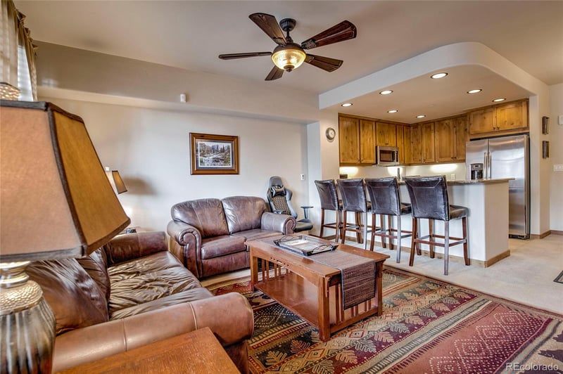 1101 Divide Rd #206, Frisco, CO 80443