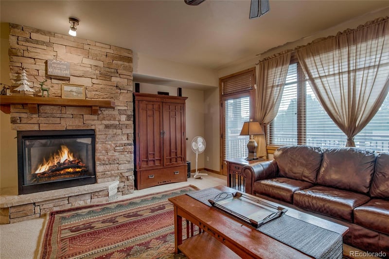 1101 Divide Rd #206, Frisco, CO 80443