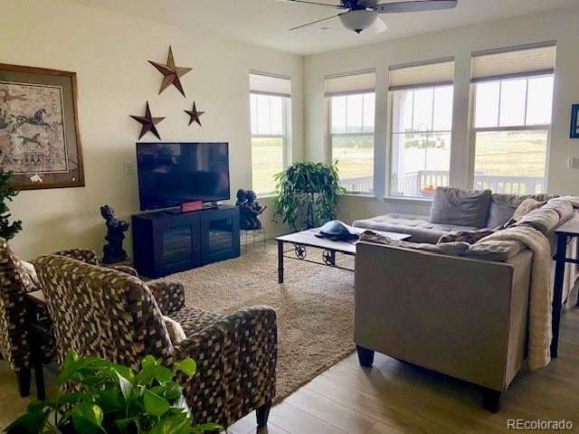 1364 Sumac Ave, Elizabeth, CO 80107