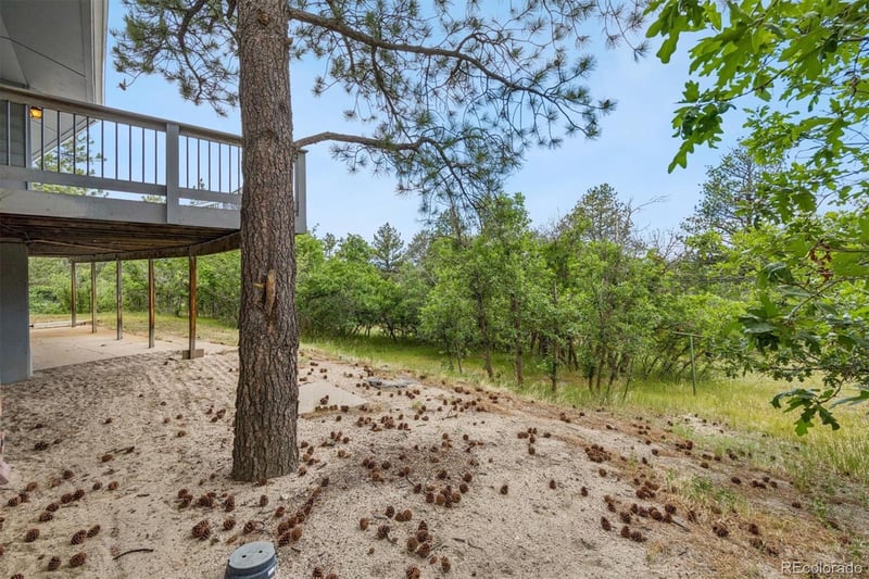 5781 N Lariat Dr, Castle Rock, CO 80108
