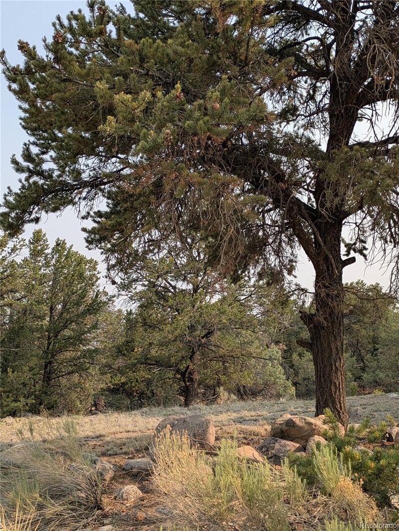 1704 Willow Creek Way, Crestone, CO 81131