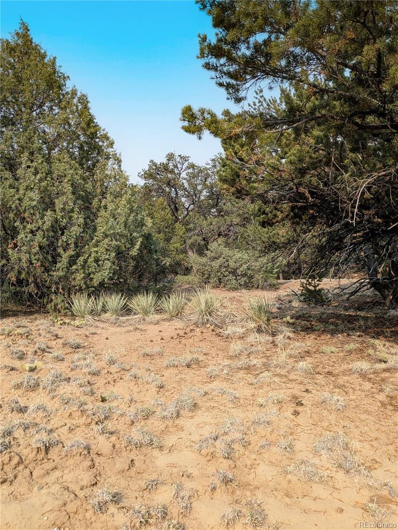 1704 Willow Creek Way, Crestone, CO 81131