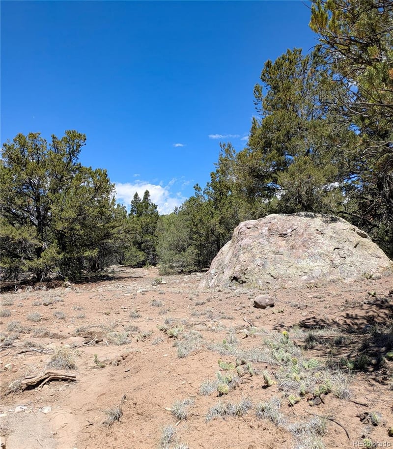1704 Willow Creek Way, Crestone, CO 81131