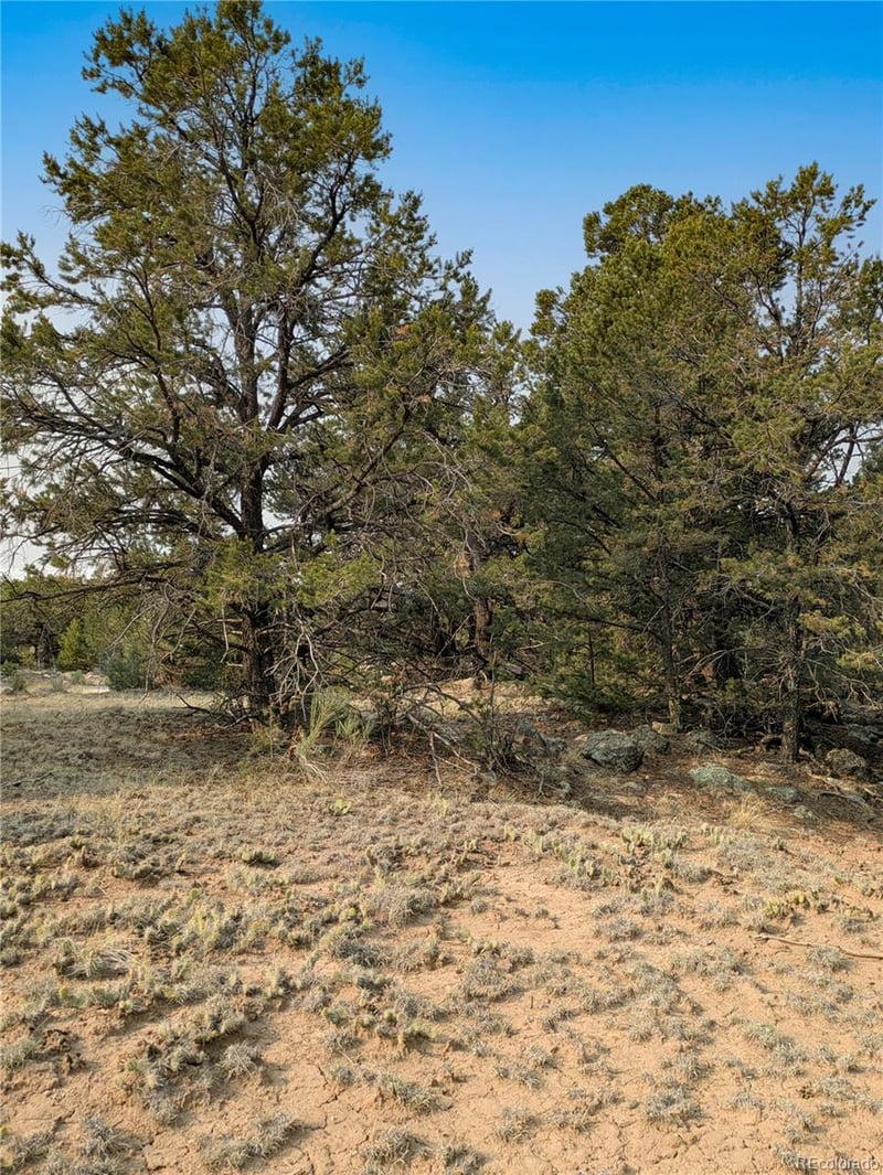1704 Willow Creek Way, Crestone, CO 81131