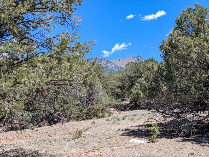 1704 Willow Creek Way, Crestone, CO 81131
