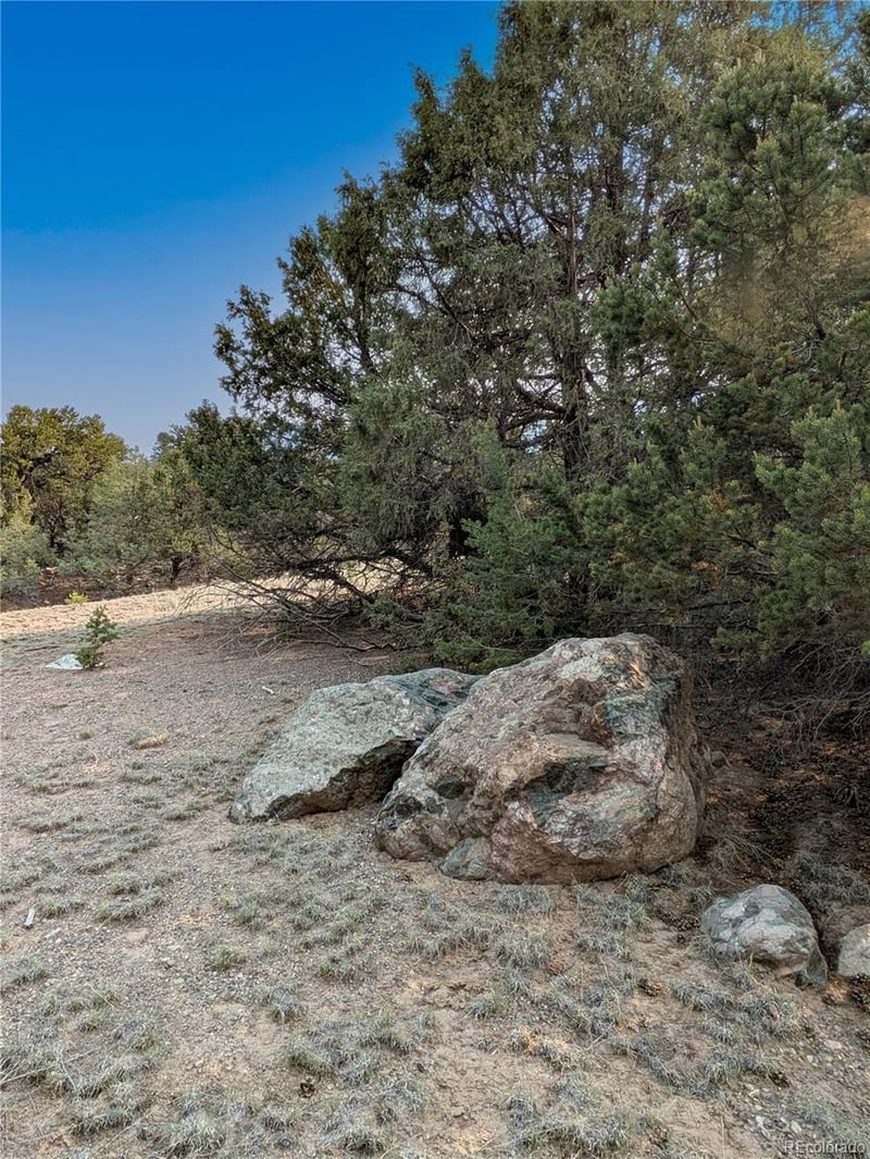 1704 Willow Creek Way, Crestone, CO 81131