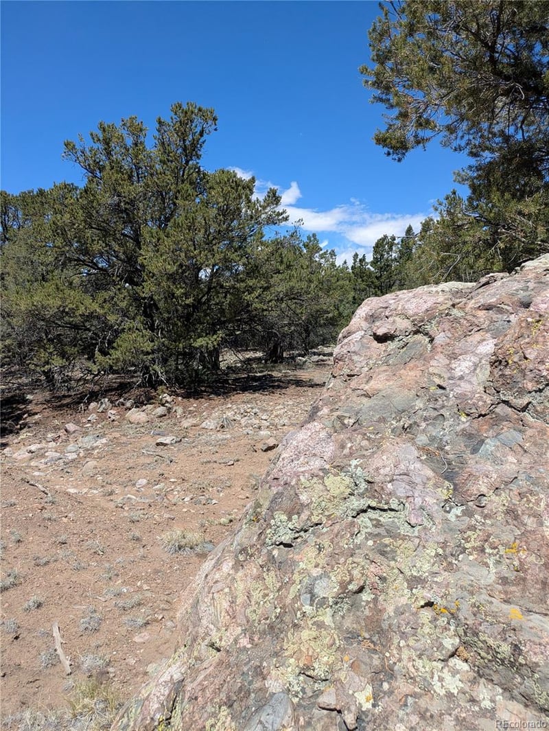 1704 Willow Creek Way, Crestone, CO 81131