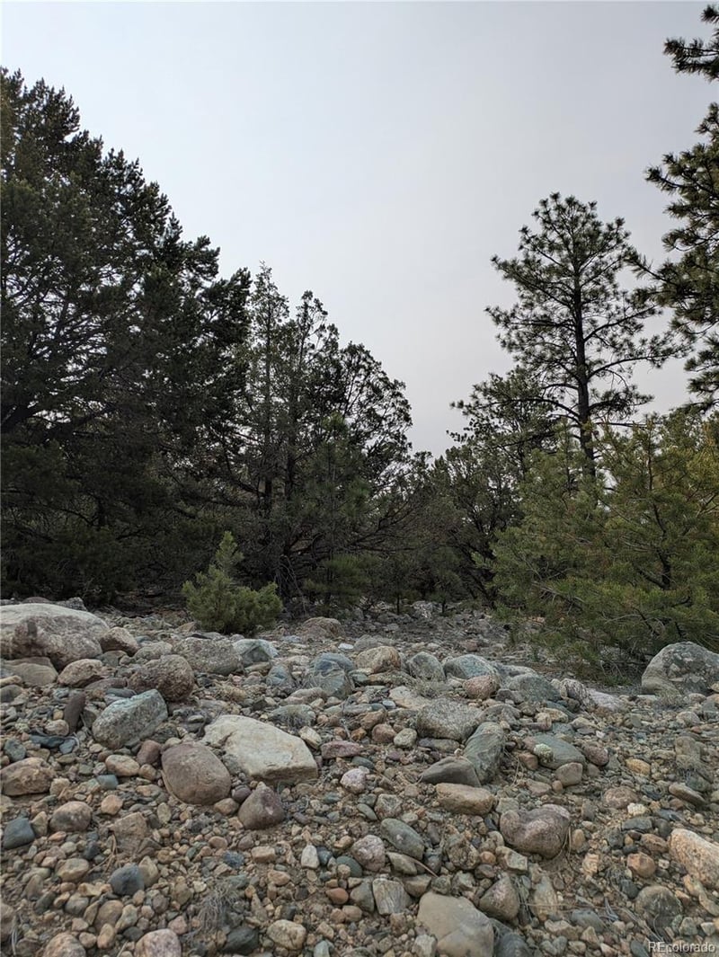 1681 Camino Real, Crestone, CO 81131