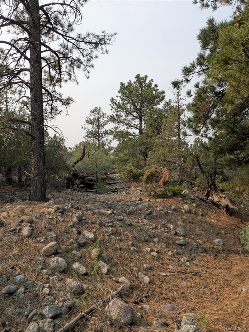 1681 Camino Real, Crestone, CO 81131