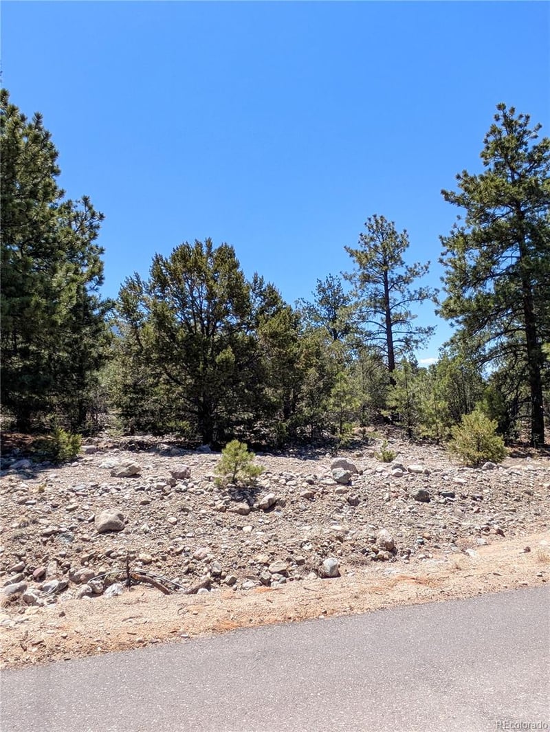 1681 Camino Real, Crestone, CO 81131