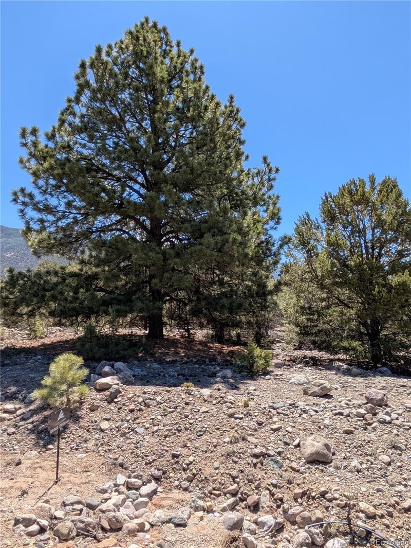 1681 Camino Real, Crestone, CO 81131