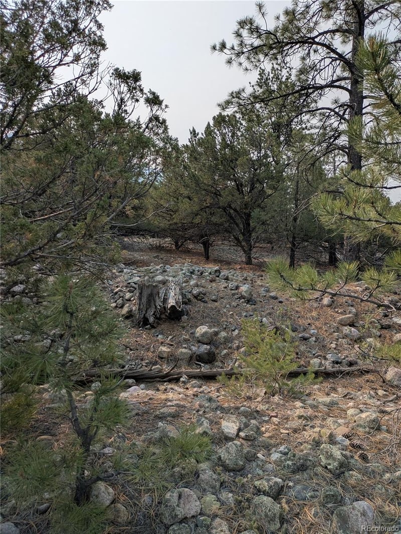 1681 Camino Real, Crestone, CO 81131