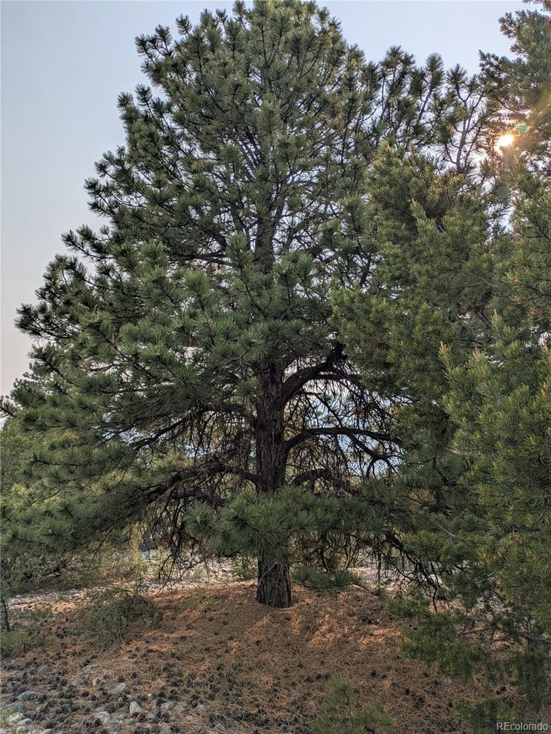 1681 Camino Real, Crestone, CO 81131