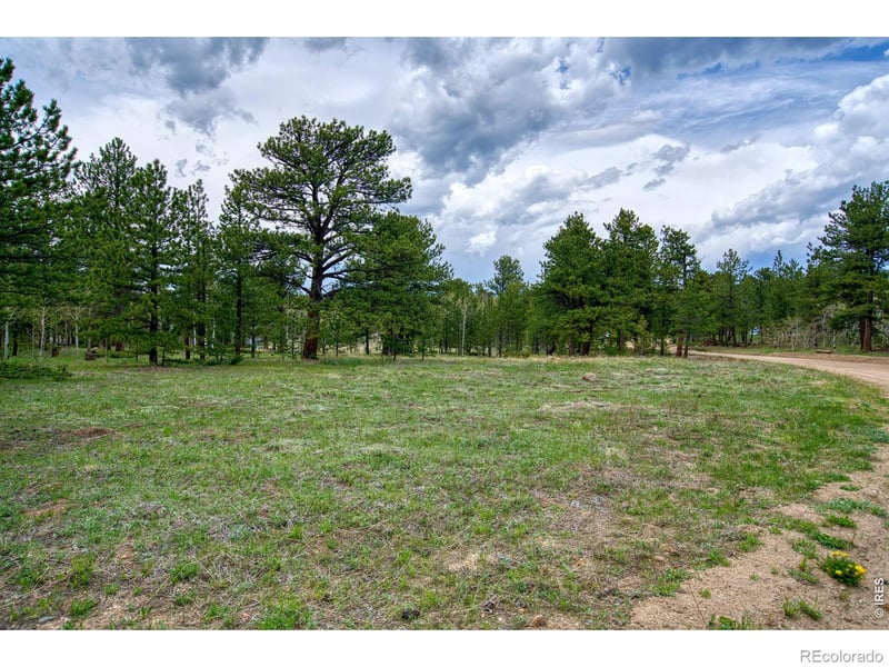 73 Sparn Way, Ward, CO 80481